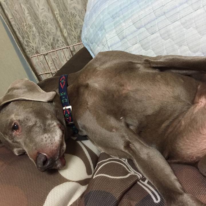 Fc149e8e c529 40d1 bd43 1485325996c4