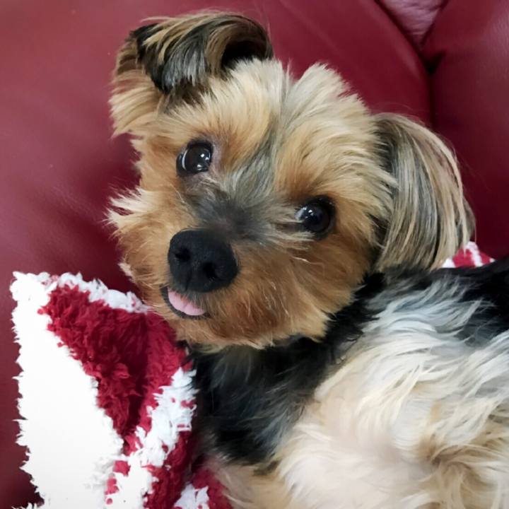 Fc14c4f0 1a75 463d 9679 5a96f3302e3e