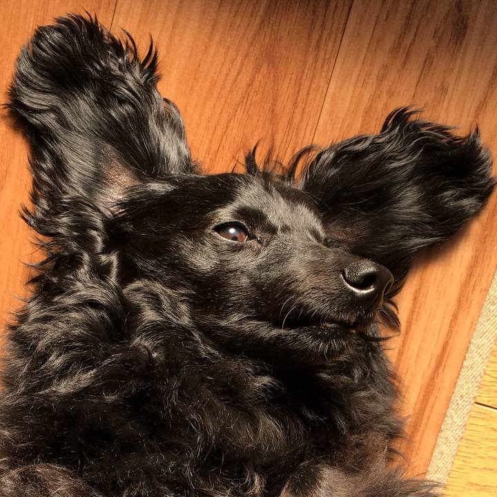 Fc14cf76 1877 4815 877e 6a2c291ae72d