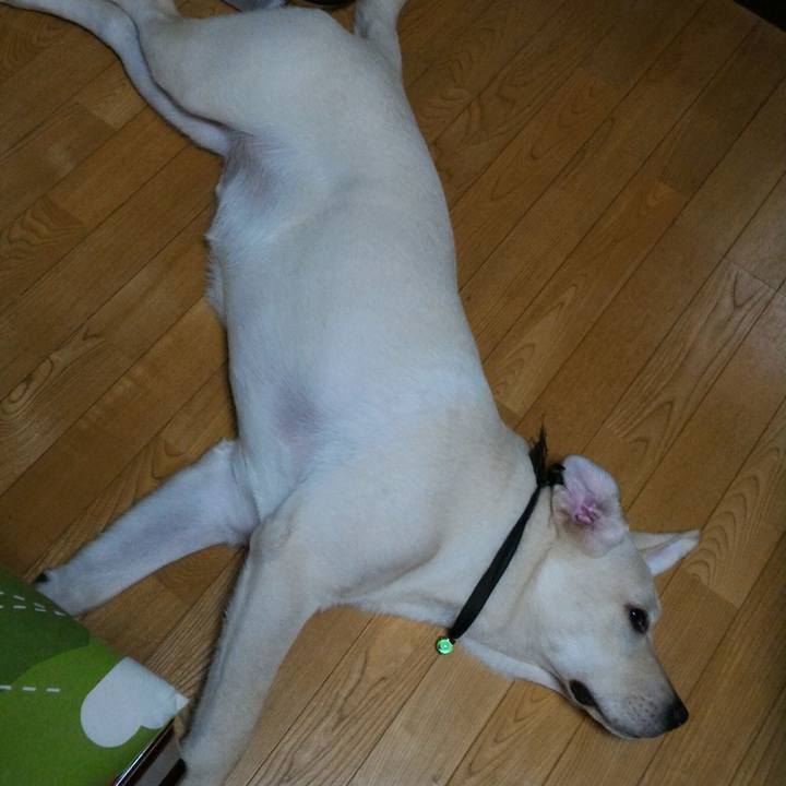 Fc15ec35 ec50 4aa3 b567 e9f174c79278