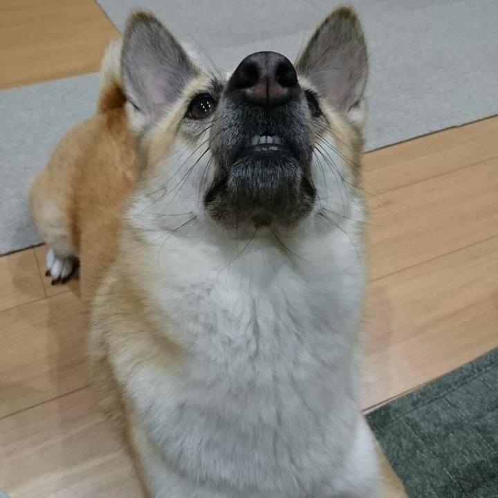 Fc1627df 5df7 4bd6 a12a 07879452c0fd