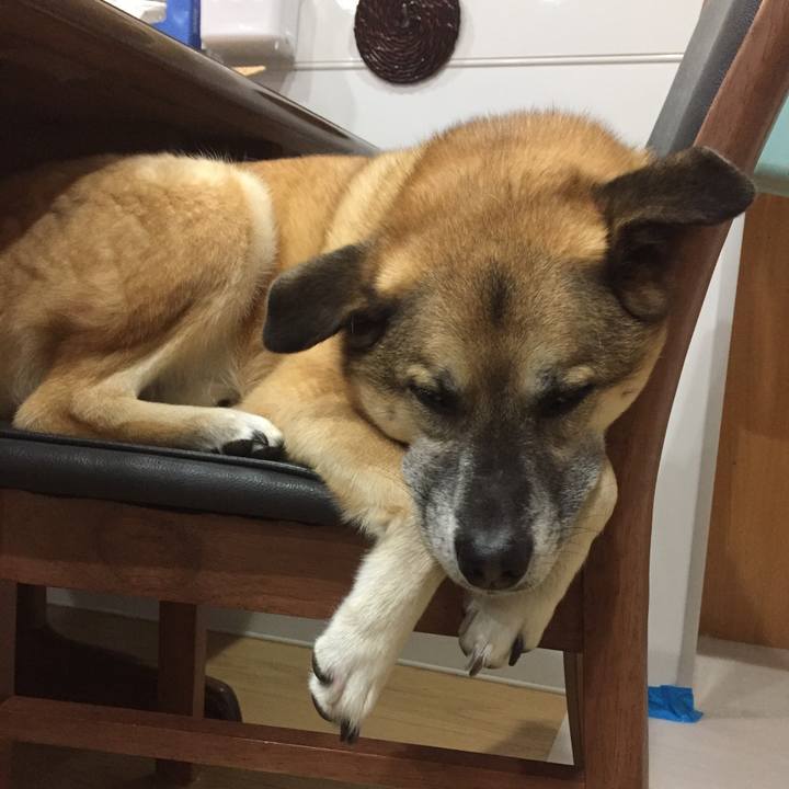 Fc167d3e 3f81 49d3 924e 20213248795c