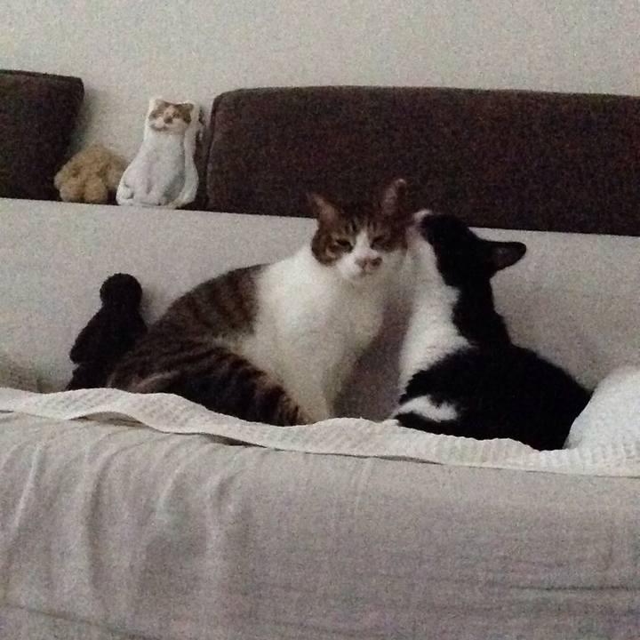 Fc169bb6 5a4e 4ea1 a18c 0197b2dc2ed6