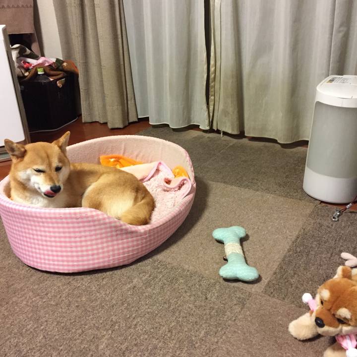 Fc1741ea f416 4c29 afa6 ac857fc75ab3