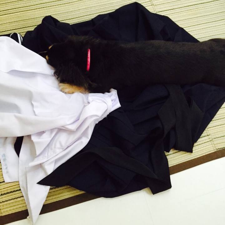 Fc17ecf0 cb2e 490f b37e 3c8bea24df47