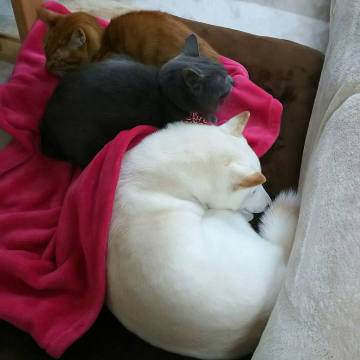 Fc17f791 d8a3 4c58 b4c6 f4a5dcf35f77