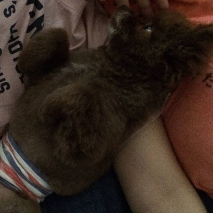 Fc18907d 7256 4a3a acdd cd46a04751d0