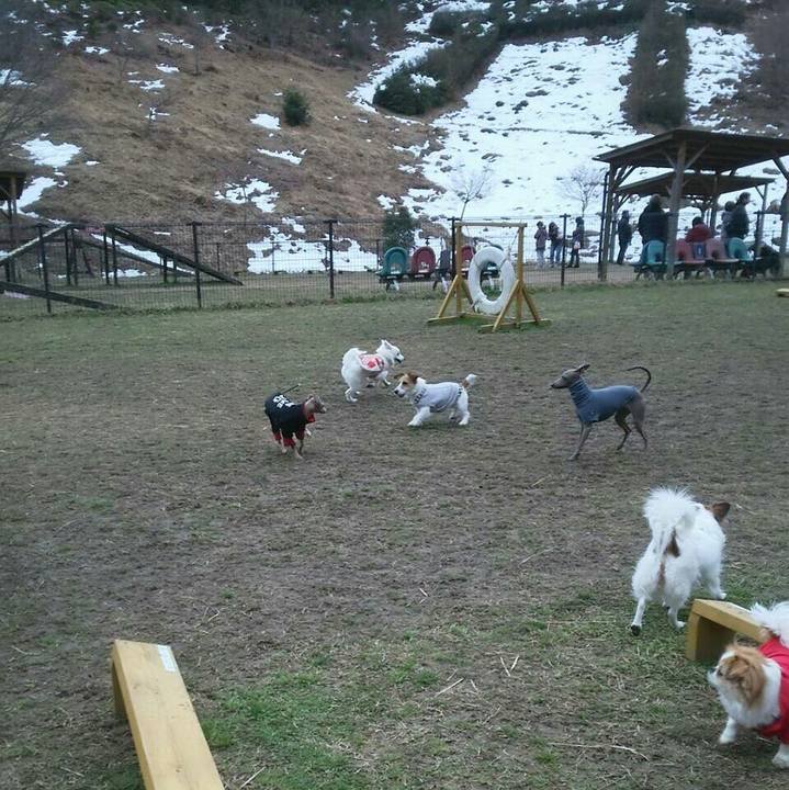 Fc18cb4a 5d72 4799 9d87 93e77a0bc3be