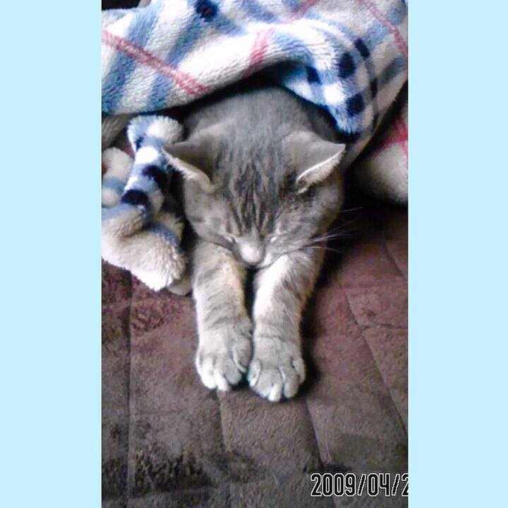 Fc19695a 192d 43b2 ab09 a7a37fad9817