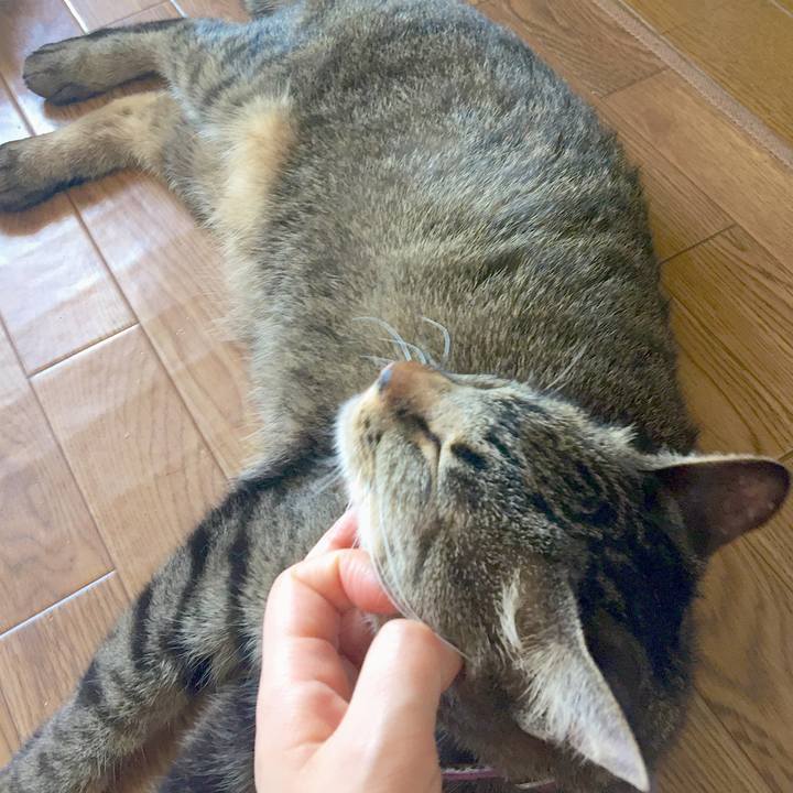 Fc19b2f0 8e8f 454b 95d4 6e2bb2d3f57c