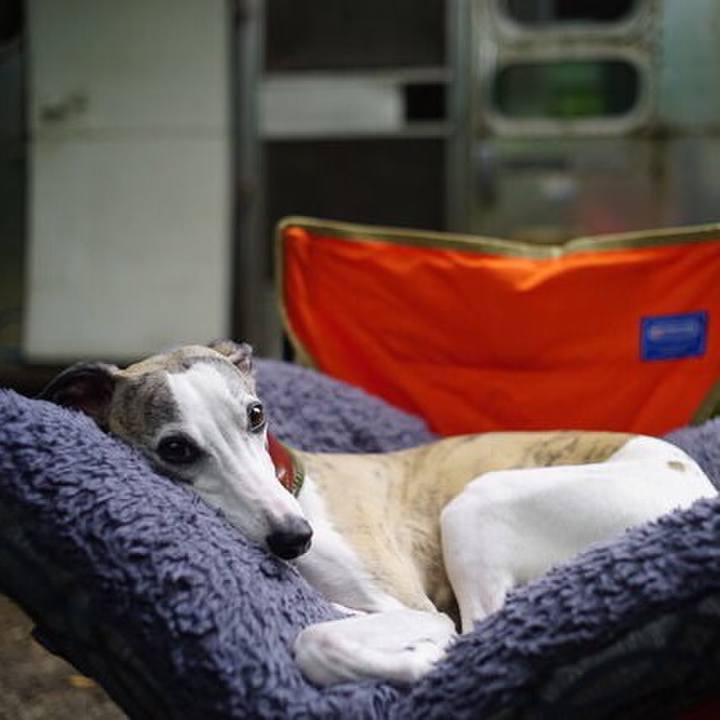 Fc19f6c0 7e6c 4f12 8632 93d2f79dadff