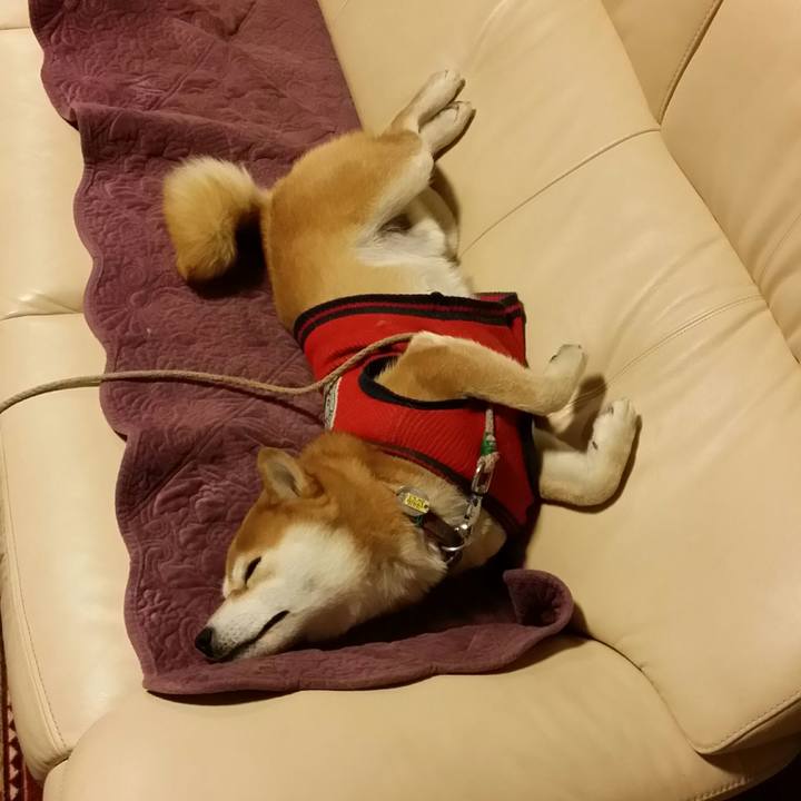 Fc1b4b08 090c 4175 a494 7c6669726a81