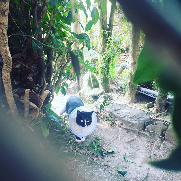 Fc1b68ab ba4f 4519 b485 1ffcba6d519f