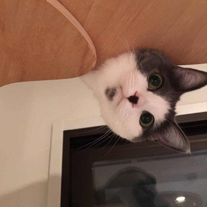 Fc1bb64f 6e23 4bc4 8f8d b523ffe7f41c