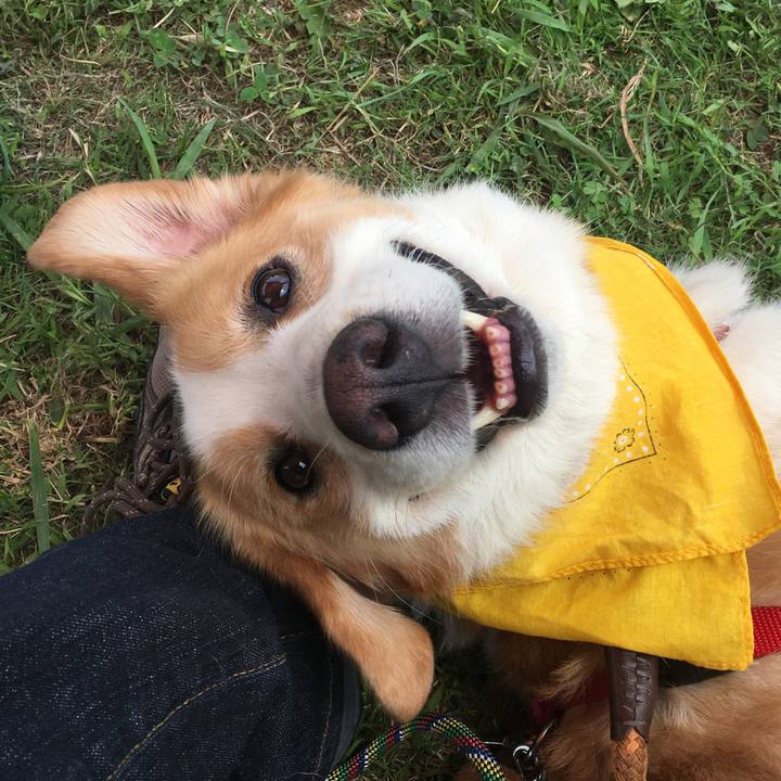 Fc1c12ff a3e8 4eb3 80ee 6c09a4e73f24