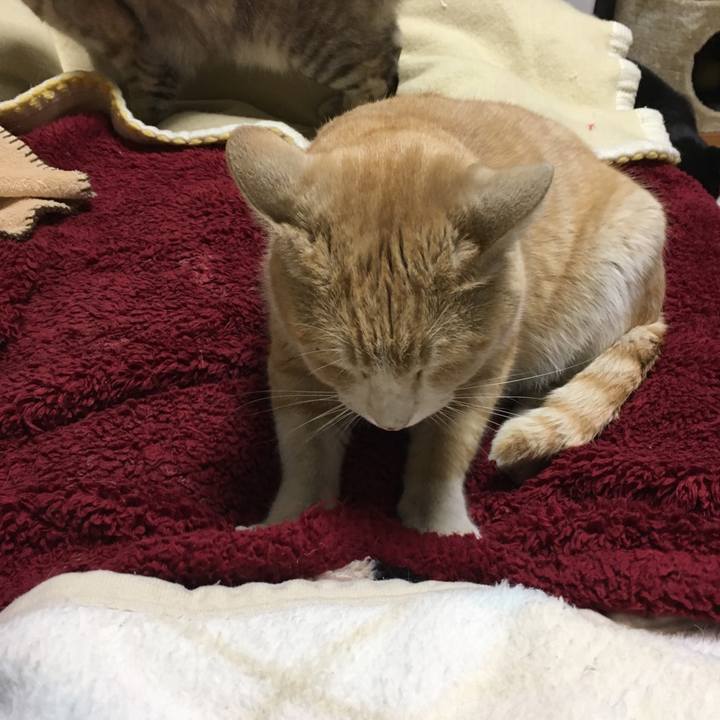 Fc1c2350 263a 4a63 989e 2aeb1560a718