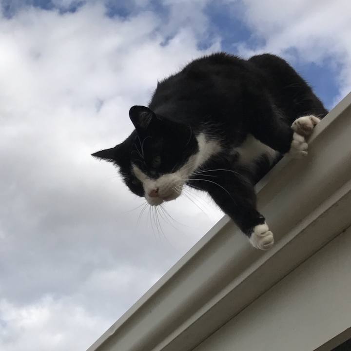 Fc1cca06 7d66 4081 9a8d e8bb83555b54