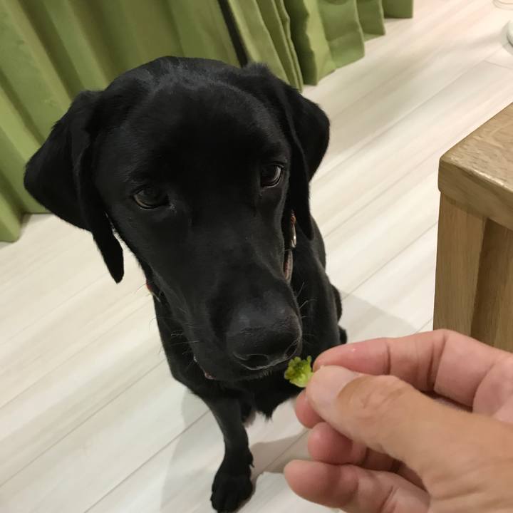 Fc1cf947 7d97 4606 8bb1 c60ac71d5129