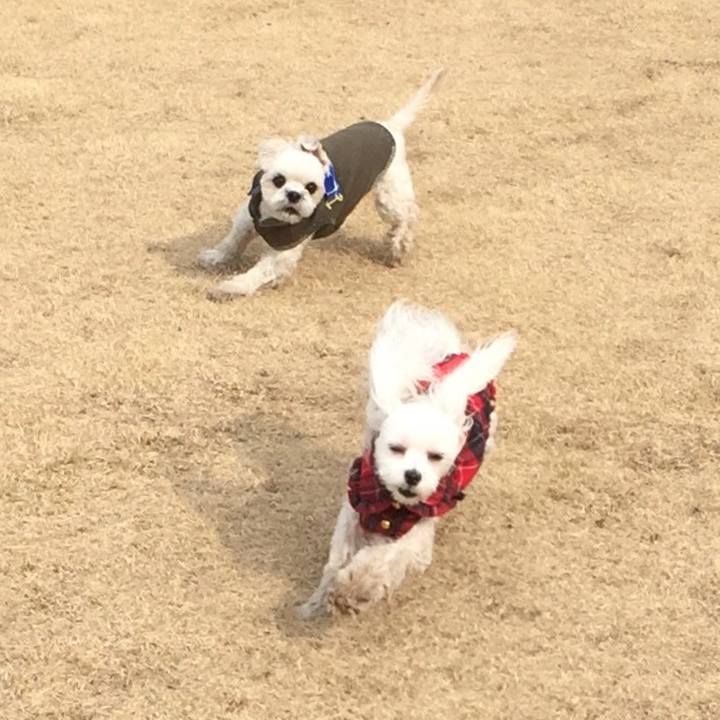 Fc1d7de8 f223 429f ae3c 673bf34726ed