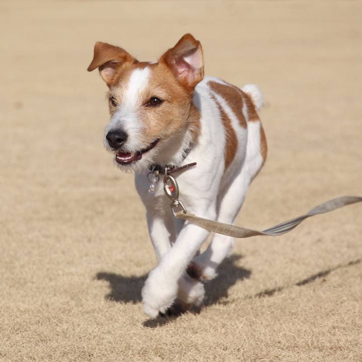 Fc1d9dec 5bb1 49f3 9c87 30c6f9234a0d