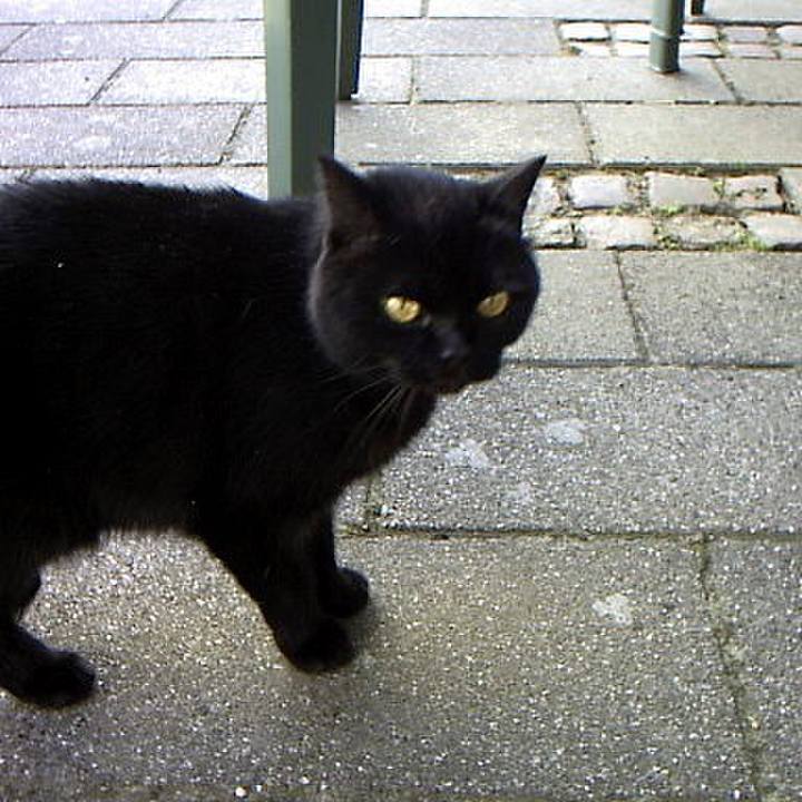 Fc1dbbd1 9a39 4df3 afce d2d00a9be013