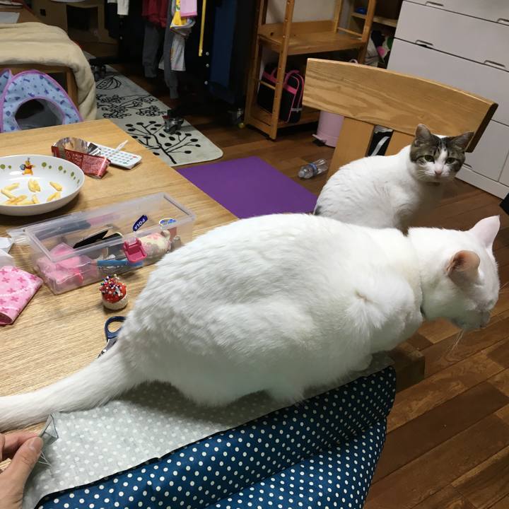 Fc1e14f7 9b07 4840 83df 0519671e0bb9