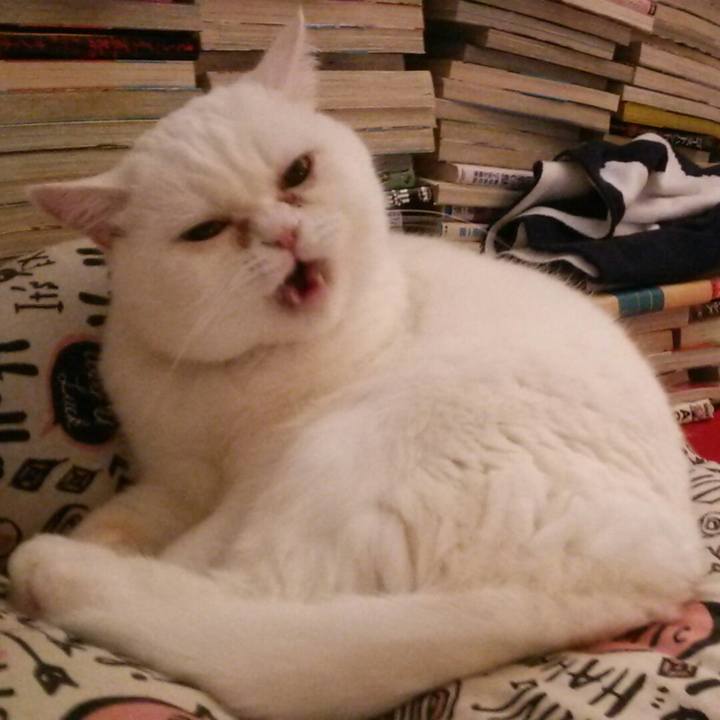 Fc1ec33a eb67 46b7 a9b6 480c5c50704b