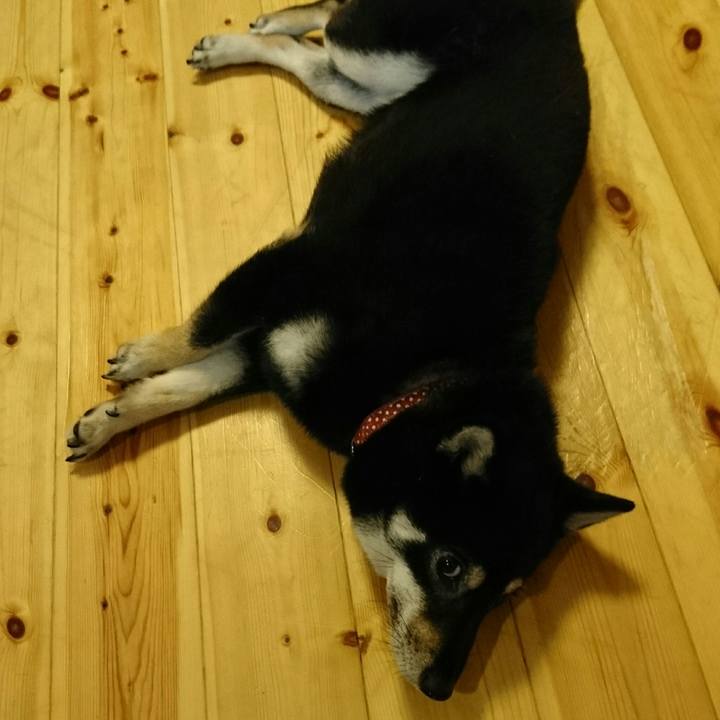 Fc1f0f6a de7b 4277 b46c 7d96c4a683c1