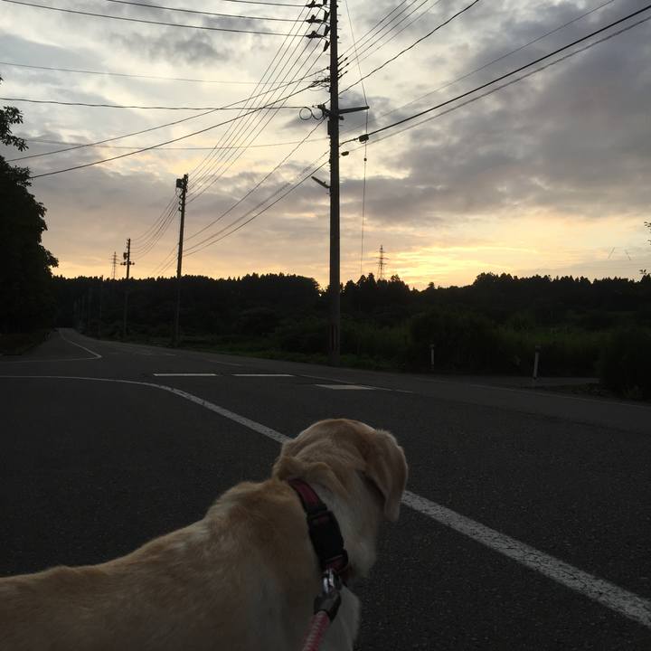 Fc1f6a4d dc44 4141 b4f3 837eed5383ef