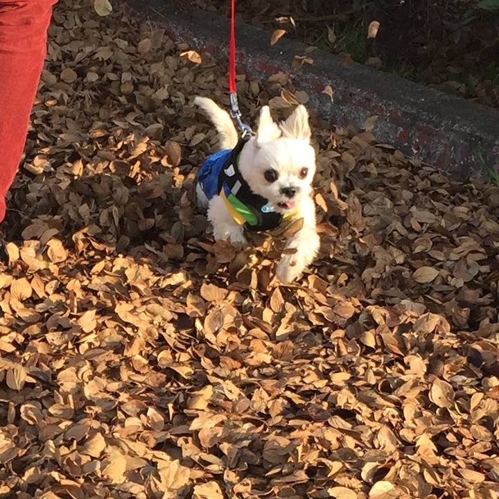 Fc2042c5 8953 4a58 9306 6ff4c1d33e14