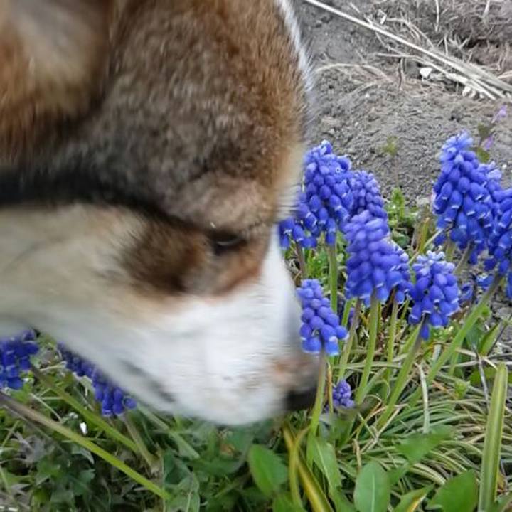 Fc20ee72 bee6 492d 9b00 728bc192576e