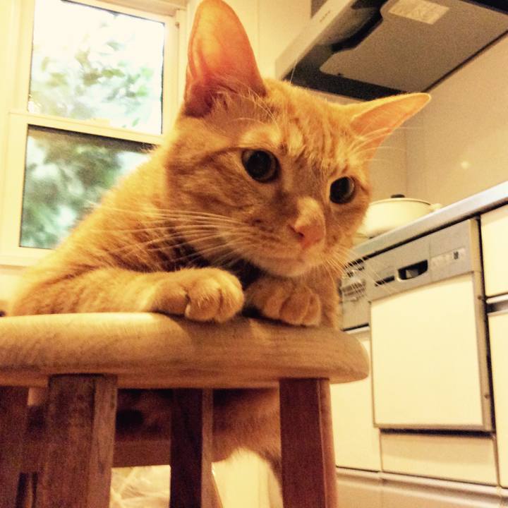 Fc2165a4 c959 47b7 b8b0 37916a95ef53