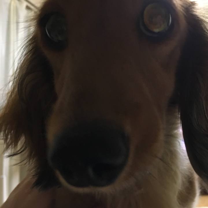 Fc21e7af dc65 4446 b066 ec67bebefd32