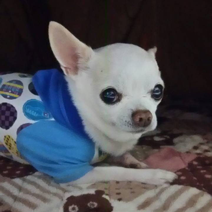 Fc223cd0 1905 4637 ba0a be2b2313096f