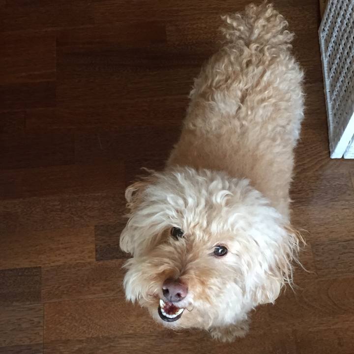 Fc226e0f ca7b 48ef bc14 dad5de43fc85