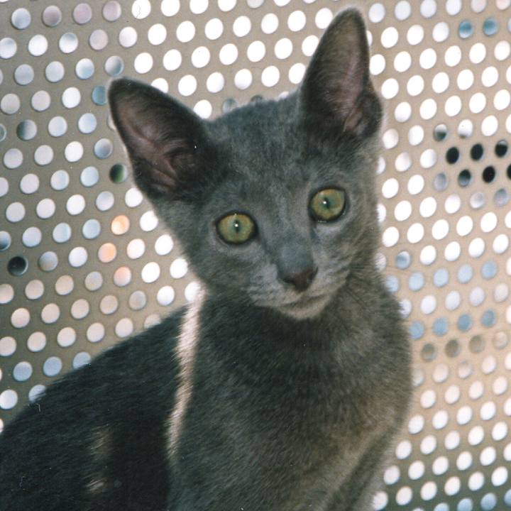 Fc228f3f ee74 4f5f b12f bd13eef77c58