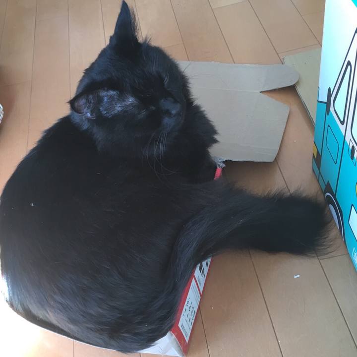 Fc22b1f7 2c83 4e60 a419 4d83179473b2