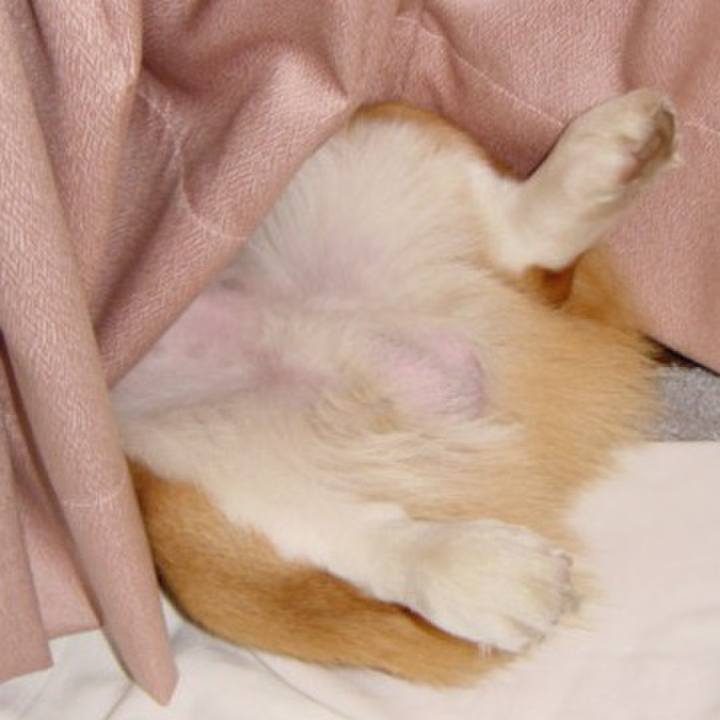 Fc23dc4e a510 4192 889c 331382568e5e