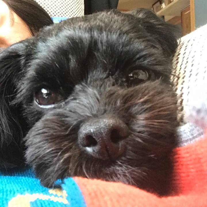 Fc23df2e 3771 439a b686 40f941acbd64