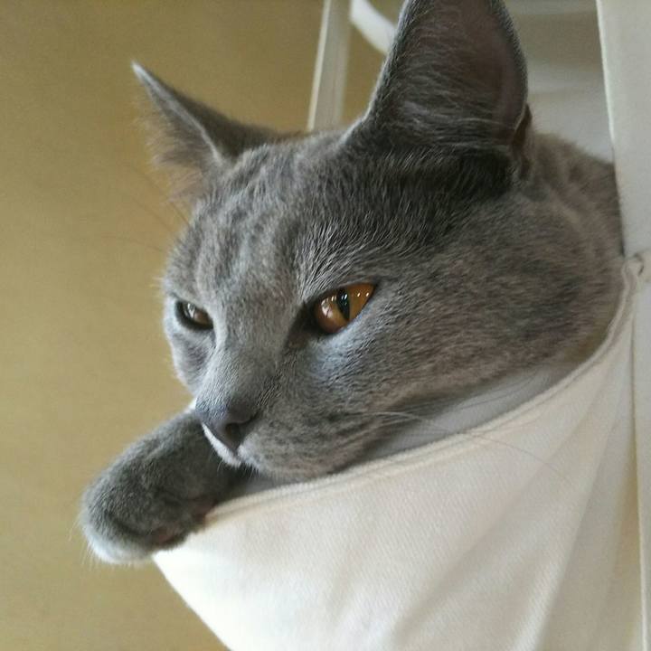 Fc23eaa9 9074 45f7 a469 e393d6f787e2