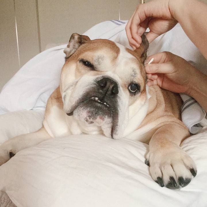 Fc24088c 5c09 41ee a718 c9cdc5f2223b