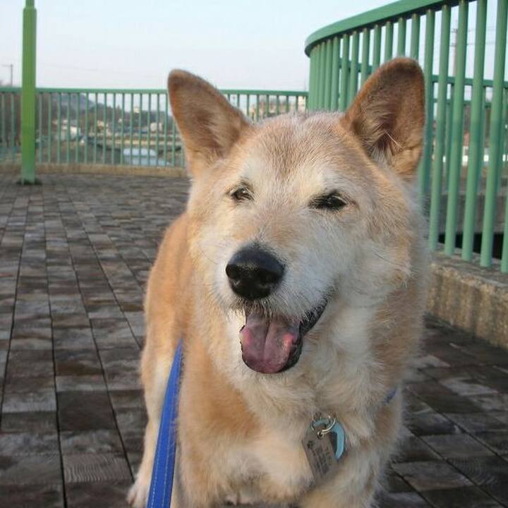 Fc241c8a 5d92 48f9 9298 5730a53b738e