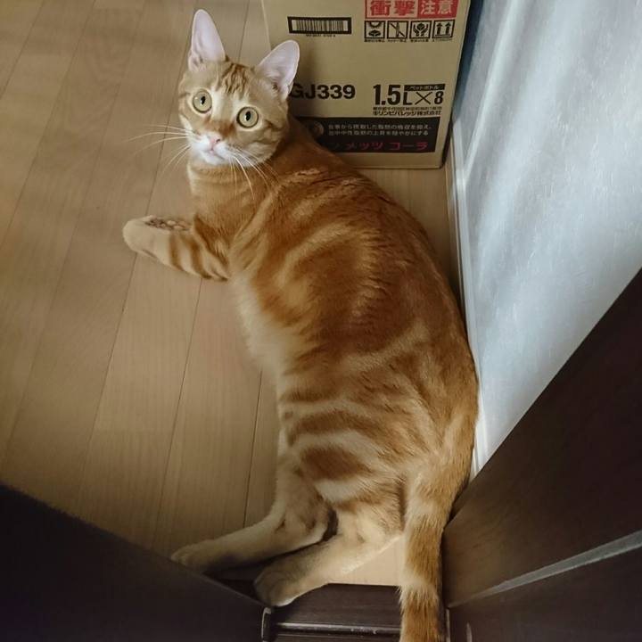 Fc244023 c9cb 48b1 b85e efa5240ab56e