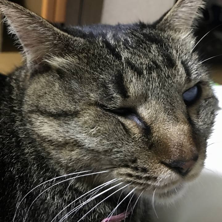 Fc2519c7 bcf4 4202 87d7 c36e85c855bd