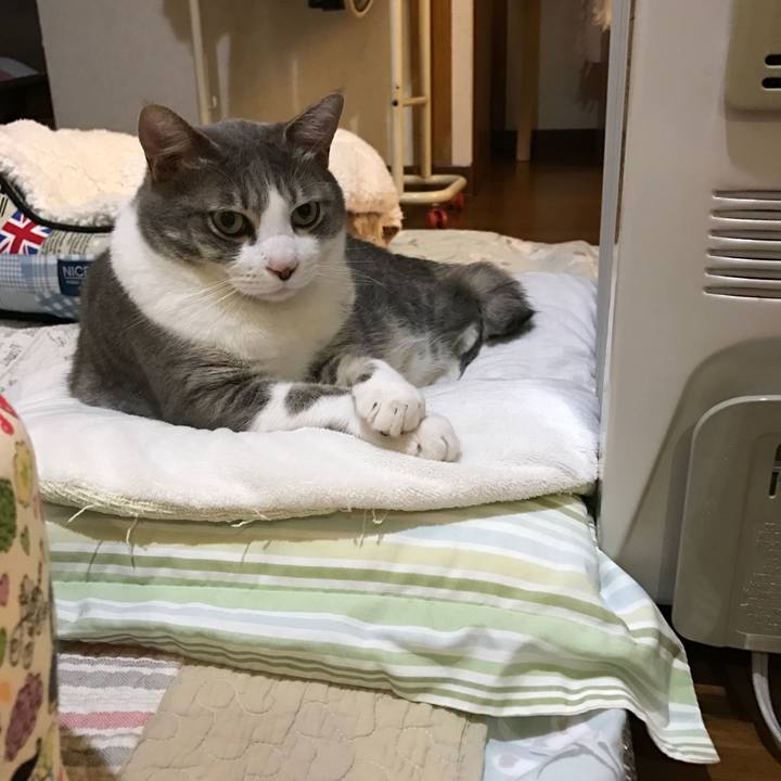 Fc25e234 e7b4 428a a7d5 0d42b0bdc3bb