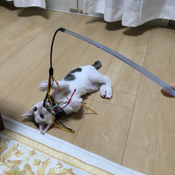 Fc261b62 bfb4 4f14 8b81 5f7a68876ea6