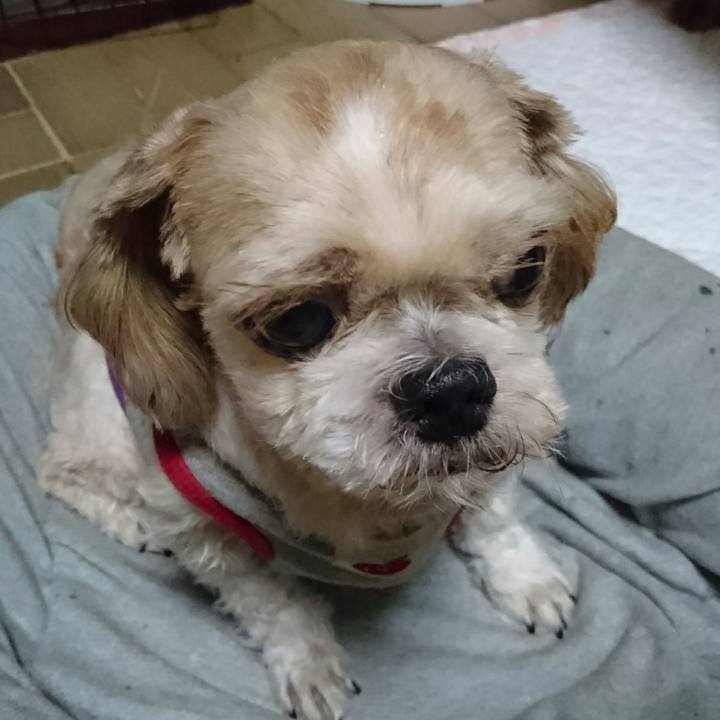 Fc2716d5 2c7e 45fd a9ec 21b530af5096