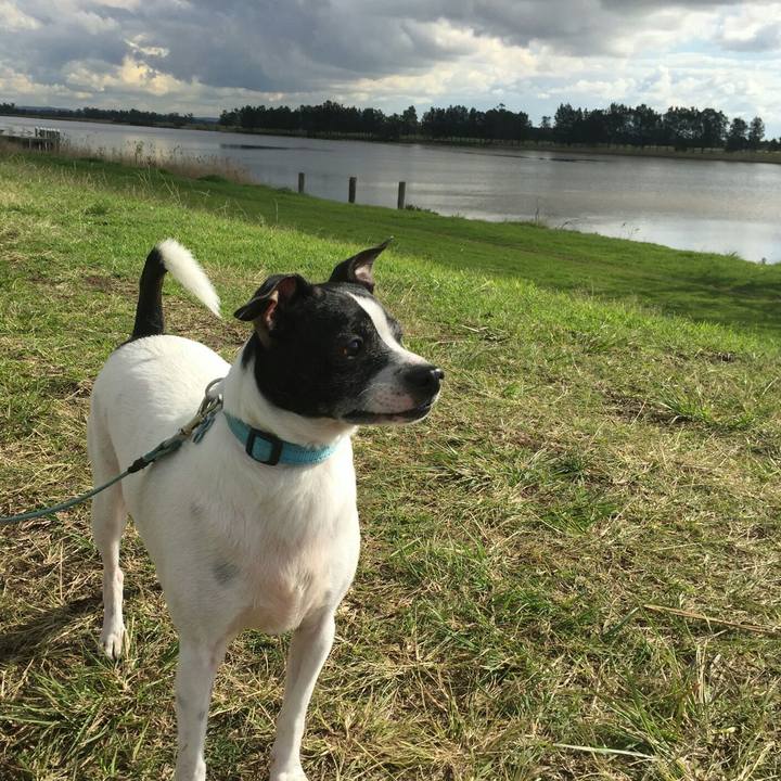 Fc278725 5317 41ce a936 48c4966b4c4a