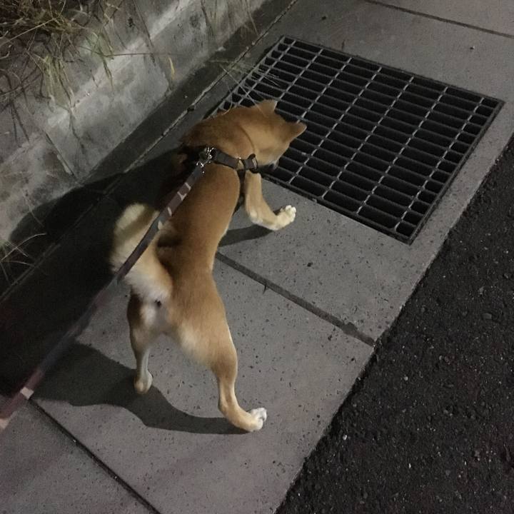 Fc27bce4 fe5e 4aa6 878d 83681b118c15