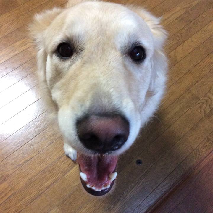 Fc28651c 83b3 4e79 bfda 3f15586f5ab2